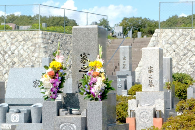 花が添えられ日差しを受けるお墓。東松戸や流山周辺で霊園やお墓のことなら松戸家へ。